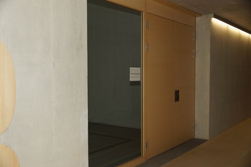 Helle Holztüre für einen Sporthalleneingang mit grossem Fenster neben der Türe. Die Firma Weidmann AG in Möhlin baut Ihre Sporthallentür.